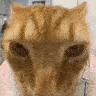 CarDrip emote for Discord
