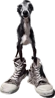 dawgy emote for Discord