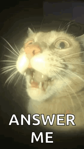 answer_me emote for Discord