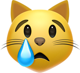 ios_cryingcat emote for Discord
