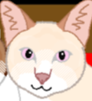 funny_cat emote for Discord
