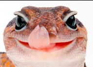 AFTLick emote for Discord