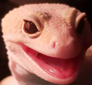 MrManMouthSmile emote for Discord