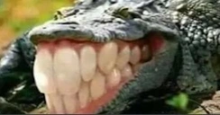 xdddd emote for Discord
