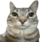 zazu emote for Discord