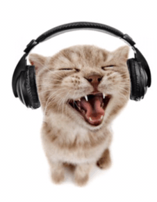 Cat_With_Headphones emote for Discord