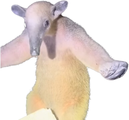 slothStop emote for Discord