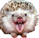 desi_mad emote for Discord