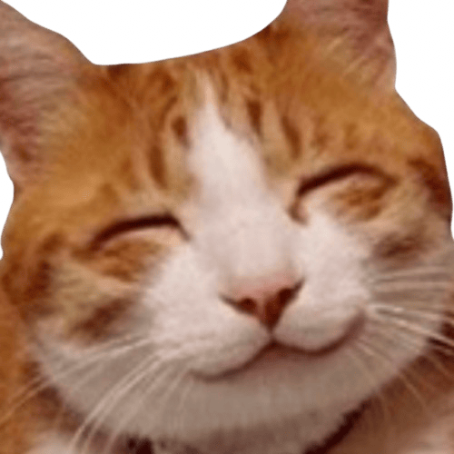 catsmile emote for Discord