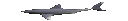 swimming_shark emote for Discord