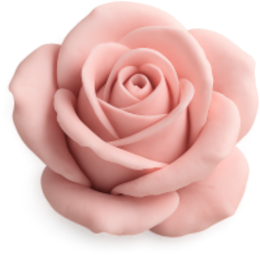 warmpinkrose emote for Discord