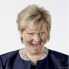 Erna emote for Discord