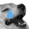 dogekekcry2 emote for Discord
