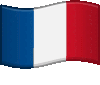 french_flag emote for Discord