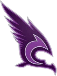 Condors emote for Discord