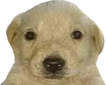 tequiero emote for Discord