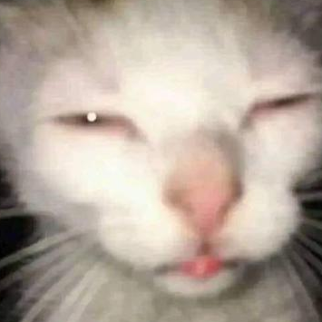 broijustwokeup emote for Discord
