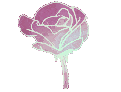 FlowerPink2 emote for Discord