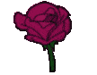 FlowerDarkPink emote for Discord