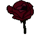 FlowerWine emote for Discord