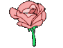 FlowerPink emote for Discord