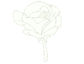 FlowerWhite emote for Discord