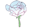 FlowerWhitePink emote for Discord