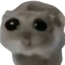 sadHamster emote for Discord
