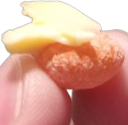 ButteredSourSkittle emote for Discord
