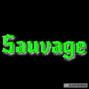 Sauvage emote for Discord
