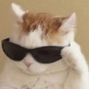 epiccat emote for Discord