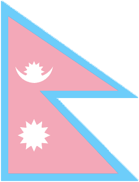 np_trans emote for Discord
