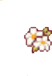 daisy emote for Discord