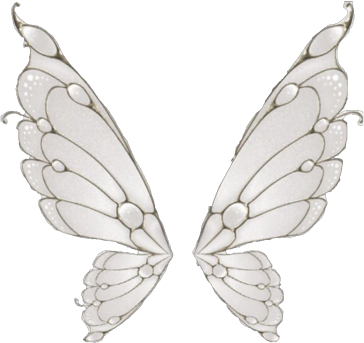 wet_butterfly emote for Discord