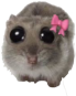 hamster_bow emote for Discord