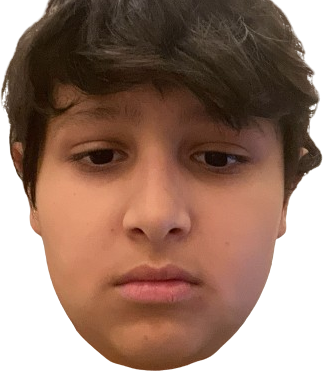 saudserious emote for Discord