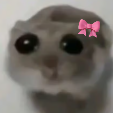 hamstermeme emote for Discord
