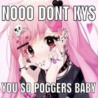 nooodontkysyourpoggers emote for Discord