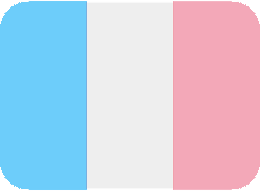 fr_trans emote for Discord