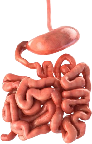 pink_noodle emote for Discord