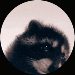 Pedro emote for Discord