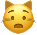 cat_anguished emote for Discord