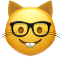 cat_nerd emote for Discord