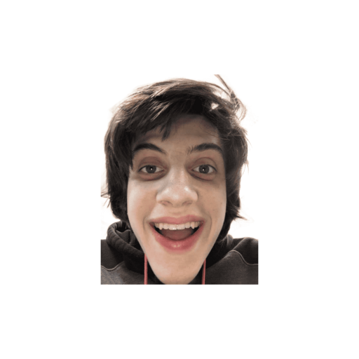 NpestaSmile emote for Discord