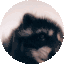 pedro emote for Discord