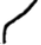 kiw emote for Discord