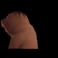 ChineseBeaver emote for Discord