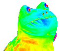 rainbowfrog emote for Discord