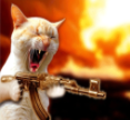Cat_with_gun emote for Discord