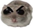 ohAngry emote for Discord
